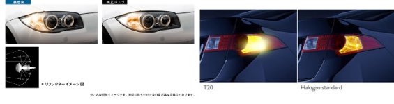 Philips_Xtreme_Ultinon_T20_LED_Amber_Clignotant_Couleur.jpg