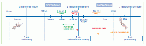 Pollution_Route.gif
