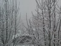 Praz sur Arly.jpg