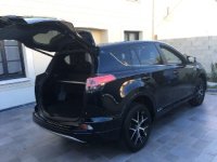 Rav43.jpg