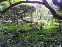 20130828_153659.jpg 20130828_153659.jpg