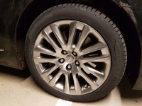 20181126_070525.jpg