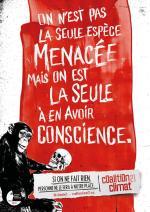 1555611062251.png