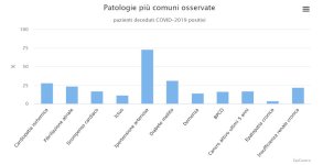 patologie 2.JPG