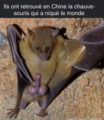 1586703713704.jpeg