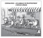 Capture d’écran 2020-04-16 à 10.32.54.png