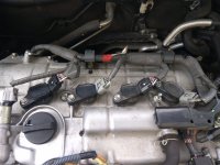 IMG_20200503_111106.jpg