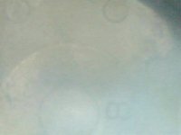 20200503115203.jpg
