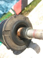 IMG_20200521_120132.jpg