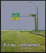1590243749120.png