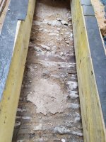 IMG_20200524_125545_copy_2000x2666.jpg IMG_20200524_125545_copy_2000x2666.jpg