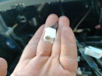 IMG20200620110814.jpg