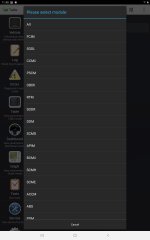 Screenshot_20200710-114821_FORScan Demo.jpg