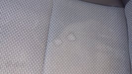 20200721_100638.jpg
