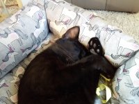 20190618_161312.jpg