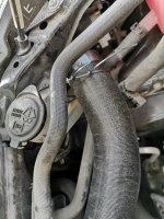 IMG_20200911_180018.jpg
