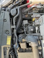 IMG_20200911_180005.jpg