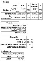 auris3.jpg