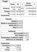 auris2.jpg