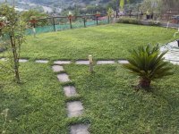 WhatsApp Image 2021-07-24 at 19.30.19.jpeg