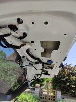 Kia Niro insonorisation_105652_copy_1736x2312.jpg