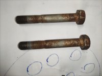 IMG_20211118_175604.jpg IMG_20211118_175604.jpg