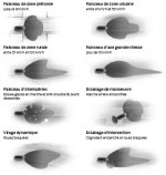 hybridlife.org-ford-mondeo-hybrid-full-led-schema.JPG