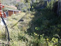 WhatsApp Image 2022-05-28 at 09.36.15 (2).jpeg