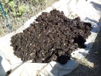 WhatsApp Image 2022-05-28 at 09.36.15 (1).jpeg