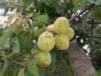 WhatsApp Image 2022-05-28 at 16.47.39.jpeg