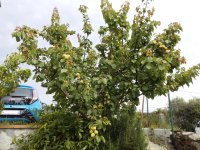 WhatsApp Image 2022-05-28 at 16.47.38.jpeg