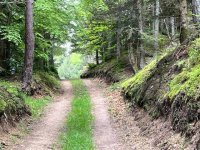 IMG_8491.jpg