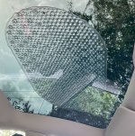 IMG_2916.jpeg