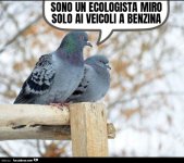 lwa4atsw5y-sono-un-ecologista-miro-solo-ai-veicoli-a-benzina-piccioni_b.jpg