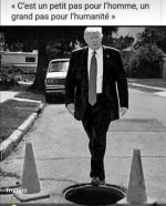 Immagine WhatsApp 2025-03-17 ore 17.31.02_ef831be9.jpg