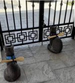 Immagine WhatsApp 2025-03-25 ore 20.27.38_955e7d89.jpg