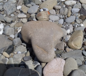 Immagine 2025-05-14 123356.png