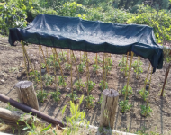 Immagine 2025-06-12 184549.png