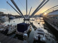 IMG_6798.jpg IMG_6798.jpg