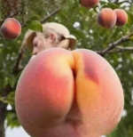 Immagine 2025-06-23 185035.png