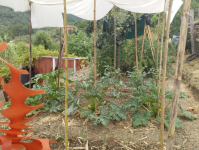 Immagine 2025-07-06 185949.png