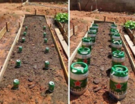 Immagine 2025-07-06 191428.png