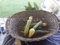 Immagine WhatsApp 2025-07-15 ore 11.50.07_95cfcc9a.jpg