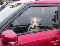 Immagine 2025-07-25 135733.png