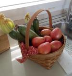 Immagine 2025-08-07 105259.png