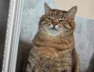 Immagine 2025-08-30 181410.png