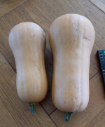 Immagine 2025-11-04 170209.png