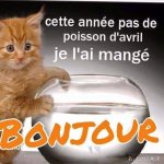 WhatsApp Image 2026-04-01 at 19.20.21.jpeg