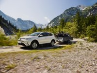 Toyota_RAV4_0387_300__mid.jpg
