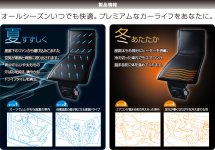 Denso CWCDNY-BB.jpg